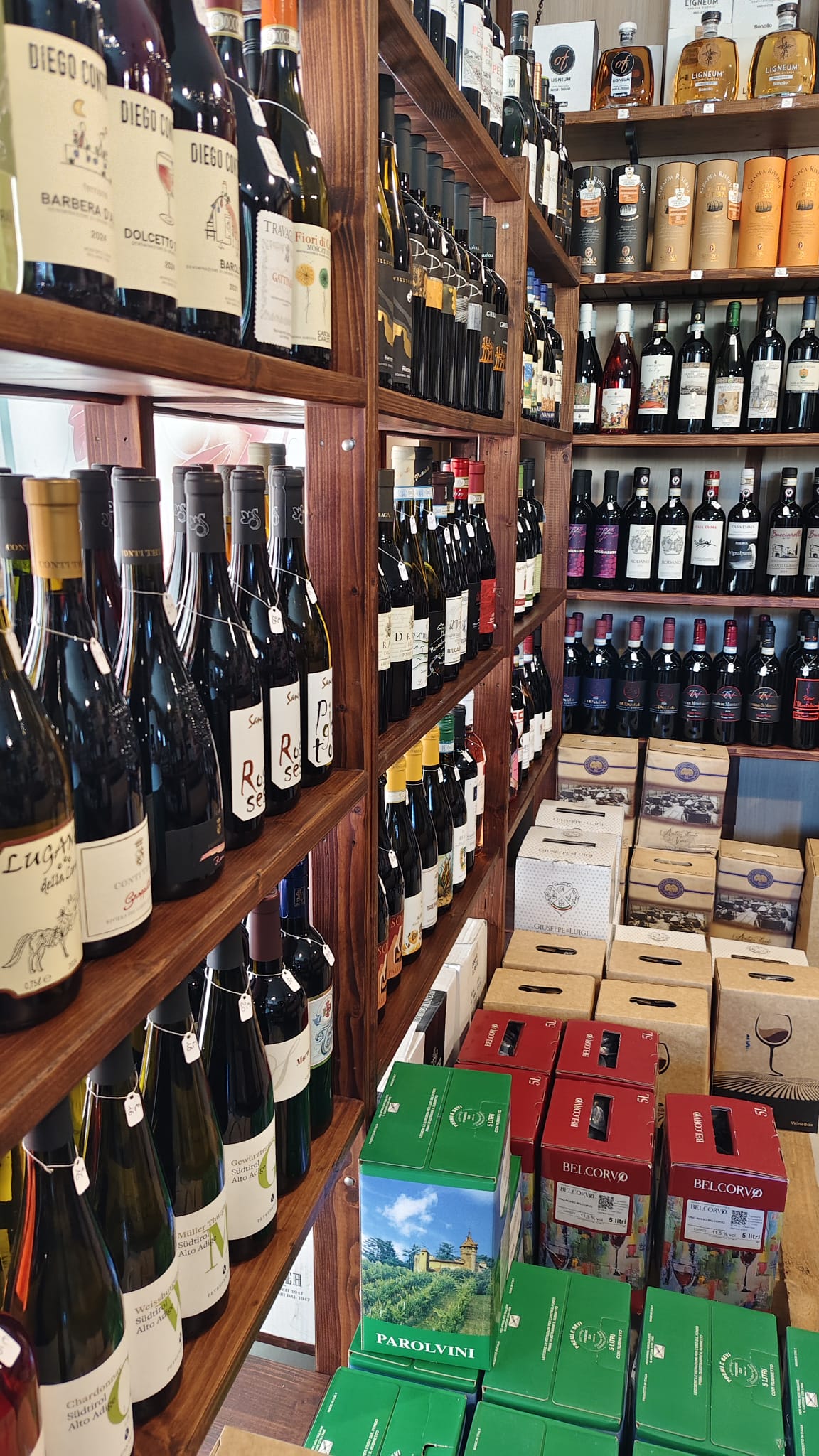 Bottiglie di vino in cantina